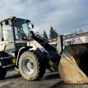 foto 6.5t Terex TL 100 loader